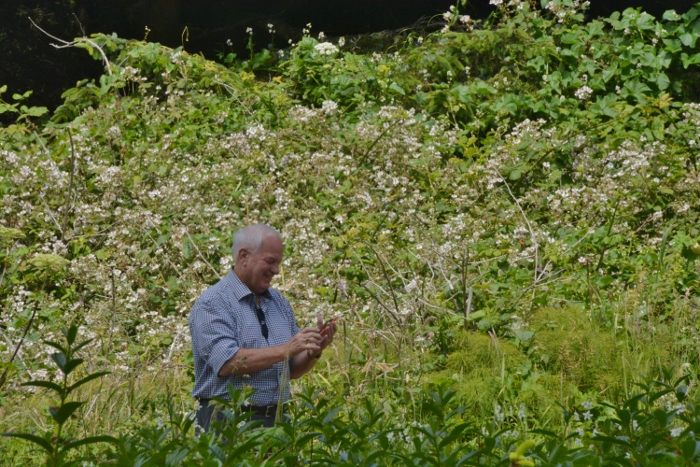 dick in the flowers